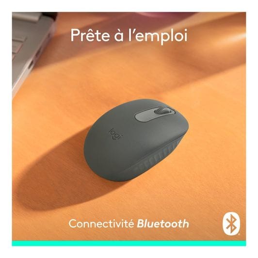 Souris sans fil LOGITECH M196 Graphite bluetooth