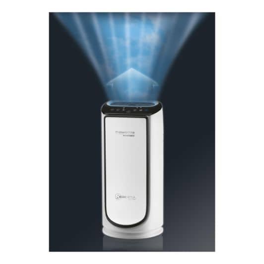 Purificateur d'air ROWENTA INTENSE PURE AIR CONNECT PU6080F0