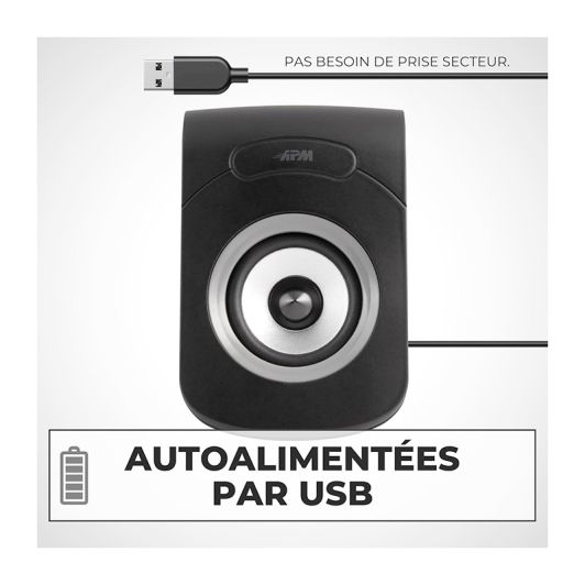 Enceintes APM Filaires USB 2.0 - Duo Haut-Parleurs PC