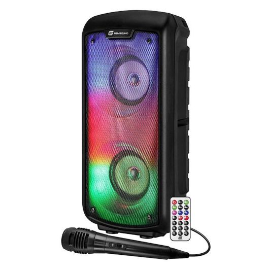 Enceinte Sono GEMSOUND GS2224 FIRE