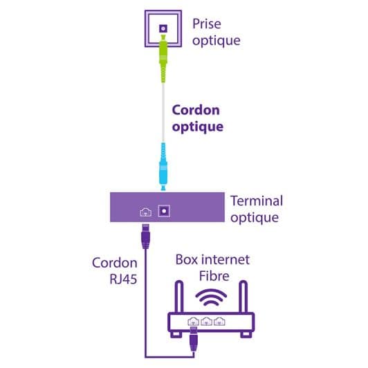 CORDON FIBRE OPTIQUE COMPATIBLE FREE 3M