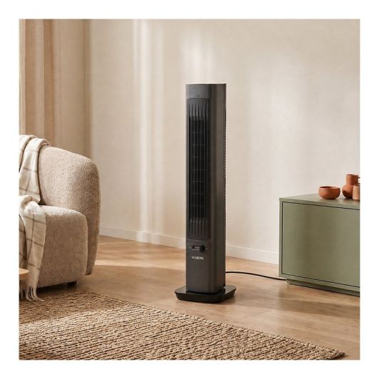 Ventilateur + Chauffage VALBERG 2IN1