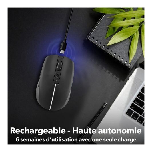 Souris rechargeable bluetooth DUAL CONNECT noire - GRADIENT