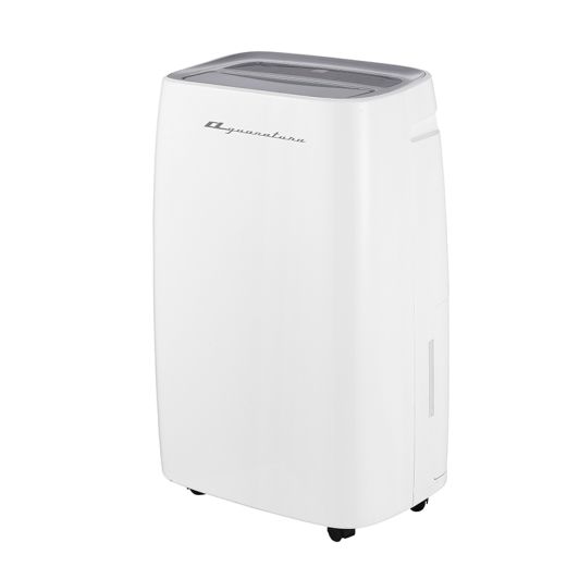 Déshumidificateur AGN 10 Litres/H