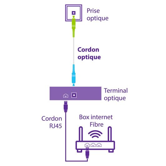 CORDON FIBRE OPTIQUE COMPATIBLE FREE 3M